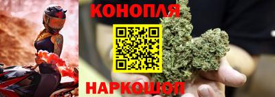 ГАЛЛЮЦИНОГЕННЫЕ ГРИБЫ Будённовск