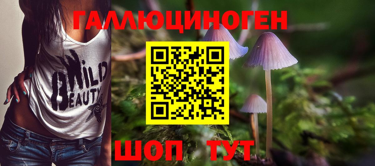 Набережные Челны  Псилоцибиновые грибы прущие грибы  наркотики  Вход с VPN 